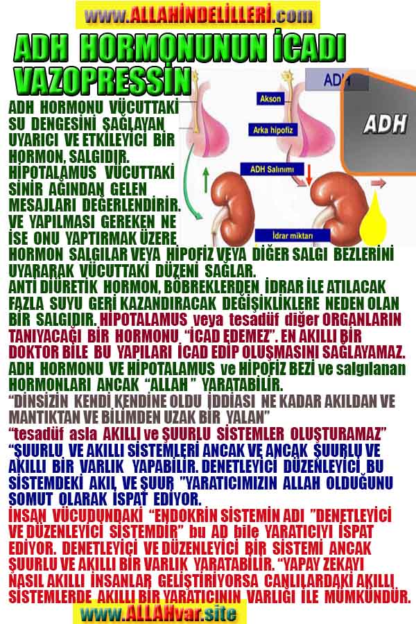 ALLAH ın delilleri,ALLAH, #ALLAH, allah-delilleri, allahin-delilleri, allahin delilleri, allah in varlığının delilleri,