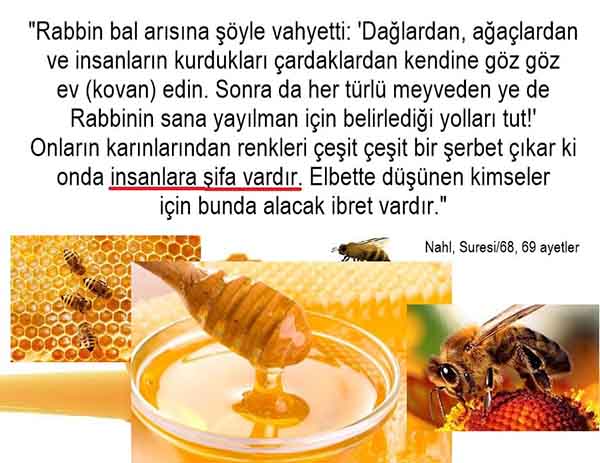 ALLAH ın delilleri,ALLAH, #ALLAH, allah-delilleri, allahin-delilleri, allahin delilleri, allah in varlığının delilleri,