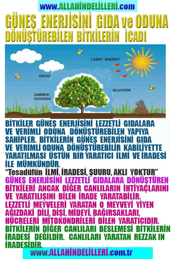 ALLAH, #ALLAH, allah-delilleri, allahin-delilleri, allahin delilleri, allah in varlığının delilleri,