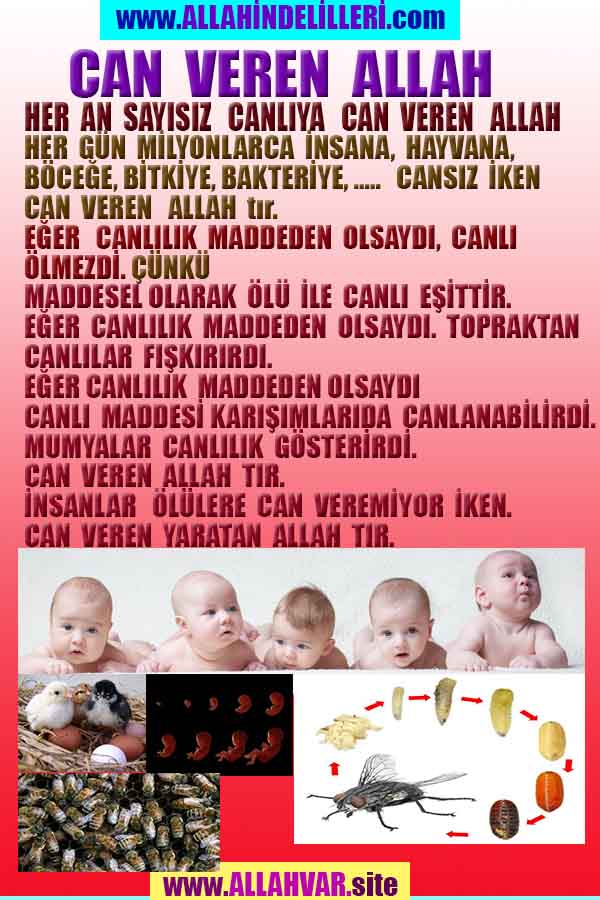 ALLAH ın delilleri,ALLAH, #ALLAH, allah-delilleri, allahin-delilleri, allahin delilleri, allah in varlığının delilleri,