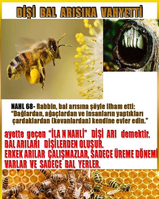 ALLAH, #ALLAH, allah-delilleri, allahin-delilleri, allahin delilleri, allah in varlığının delilleri,