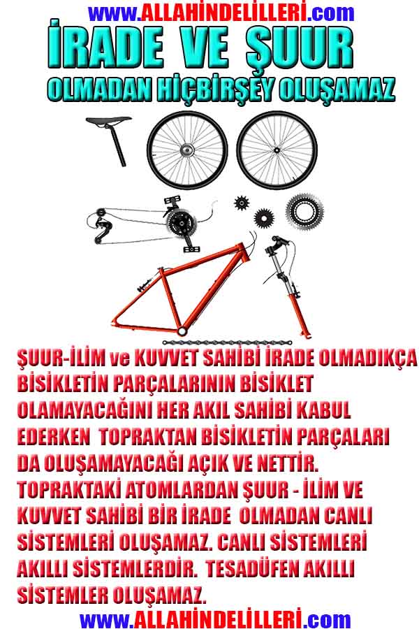 ALLAH, #ALLAH, allah-delilleri, allahin-delilleri, allahin delilleri, allah in varlığının delilleri,