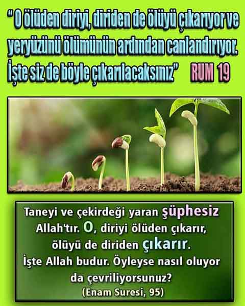 ALLAH ın delilleri,ALLAH, #ALLAH, allah-delilleri, allahin-delilleri, allahin delilleri, allah in varlığının delilleri,