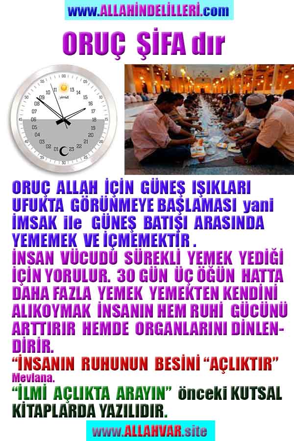 ALLAH ın delilleri,ALLAH, #ALLAH, allah-delilleri, allahin-delilleri, allahin delilleri, allah in varlığının delilleri,