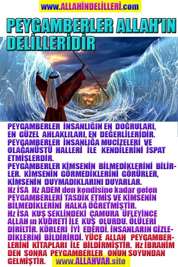 ALLAH, #ALLAH, allah-delilleri, allahin-delilleri, allahin delilleri, allah in varlığının delilleri,