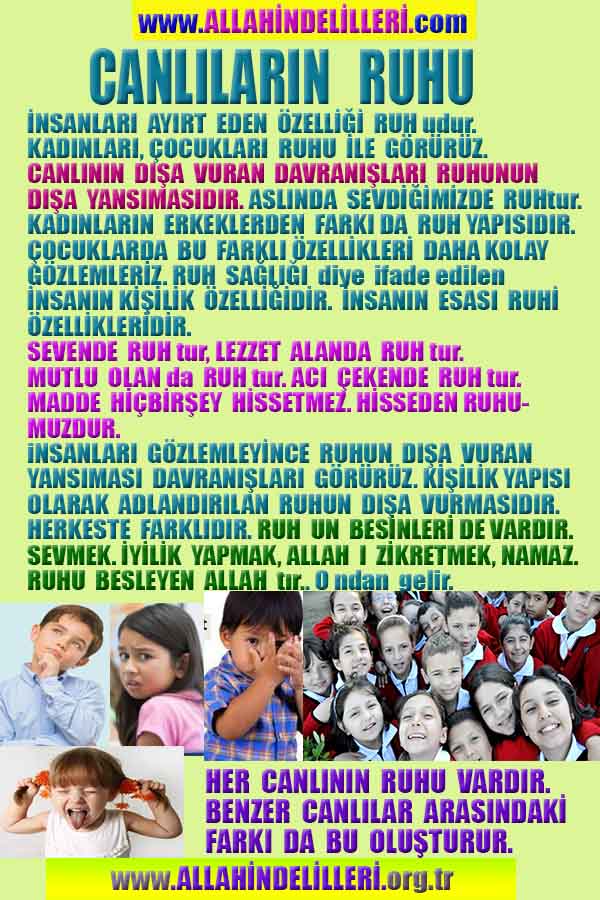 ALLAH ın delilleri,ALLAH, #ALLAH, allah-delilleri, allahin-delilleri, allahin delilleri, allah in varlığının delilleri,