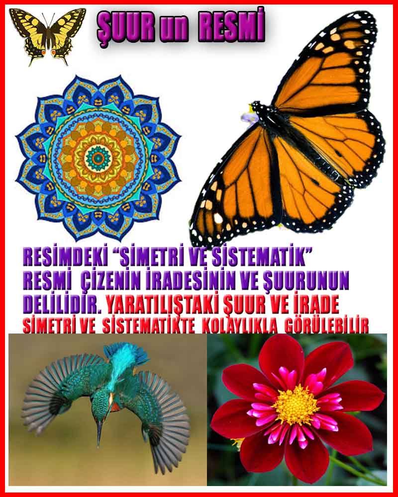 ALLAH, #ALLAH, allah-delilleri, allahin-delilleri, allahin delilleri, allah in varlığının delilleri,