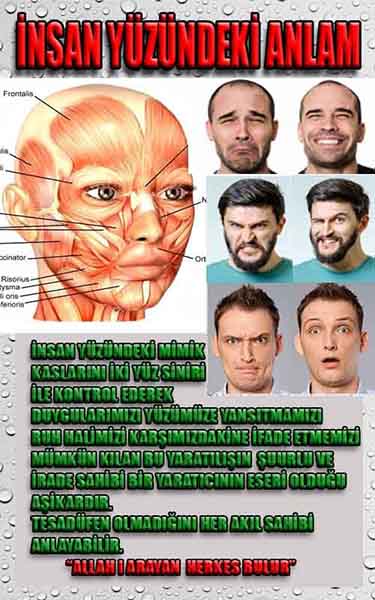 ALLAH ın delilleri,ALLAH, #ALLAH, allah-delilleri, allahin-delilleri, allahin delilleri, allah in varlığının delilleri,