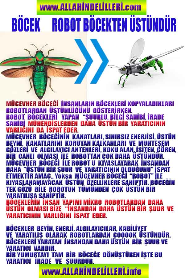 ALLAH, #ALLAH, allah-delilleri, allahin-delilleri, allahin delilleri, allah in varlığının delilleri, allahin varlığınin delilleri, allah var, @allahvar, @allah-delilleri, #allah-delil, #allahin-delilleri, allahin varlığını nasıl anlayabilirim?